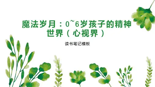 魔法岁月：0 6岁孩子的精神世界(心视界)