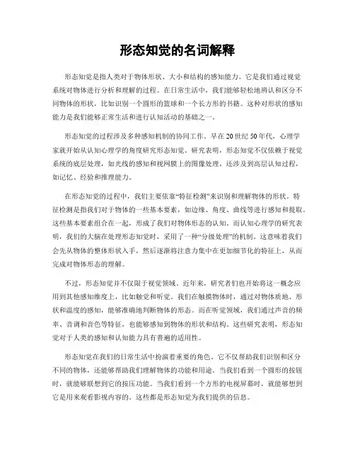 形态知觉的名词解释