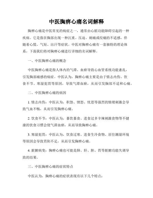 中医胸痹心痛名词解释