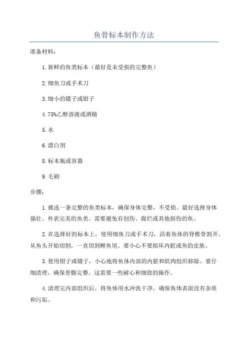 鱼骨标本制作方法