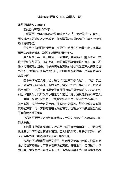 鉴赏琵琶行作文800字精选3篇