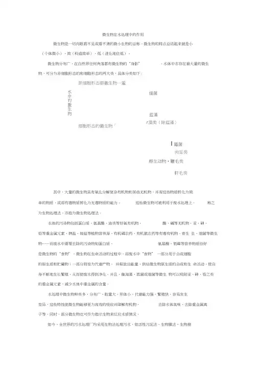 微生物在水处理中的作用