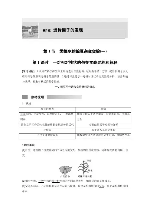 高中生物新教材必修二同步讲义  第1章 第1节 第1课时 一对相对性状的杂交实验过程和解释
