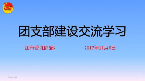 团支部建立PPT课件