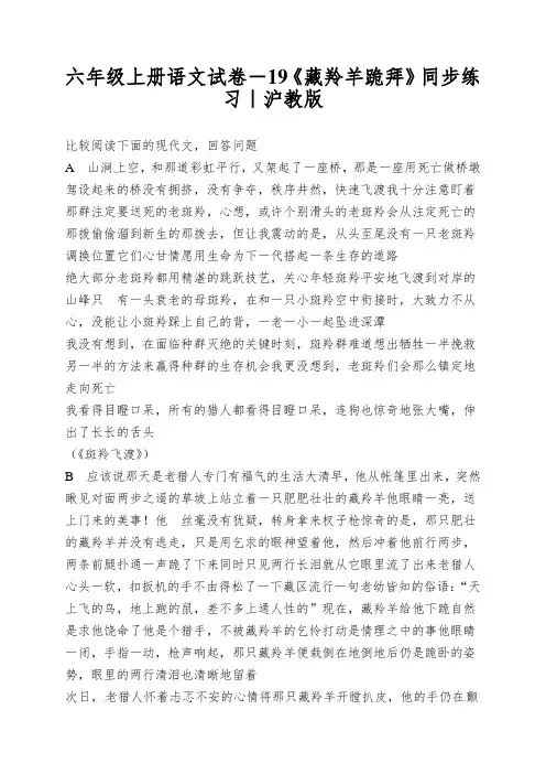 六年级上册语文试卷-19《藏羚羊跪拜》同步练习｜沪教版