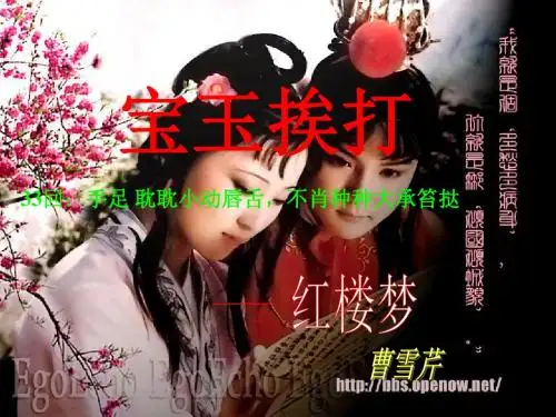 《宝玉挨打》课件