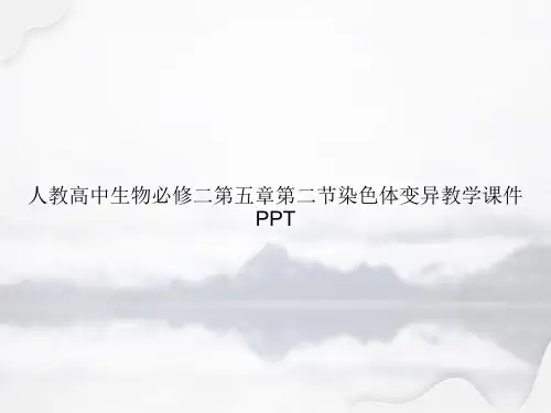 人教高中生物必修二第五章第二节染色体变异教学PPT专选课件