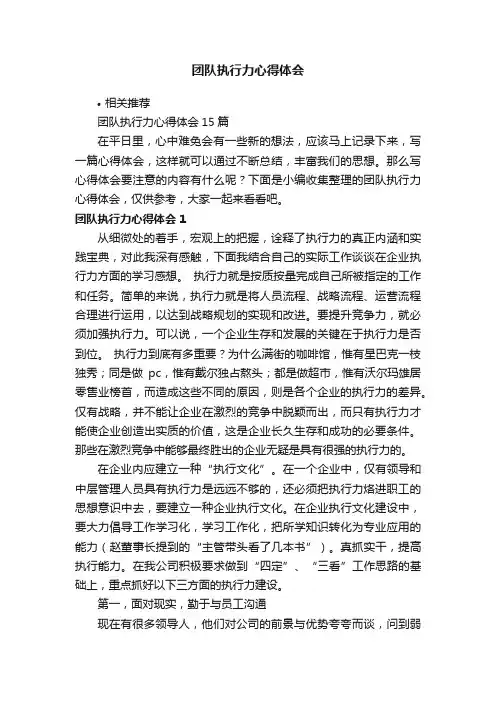 团队执行力心得体会