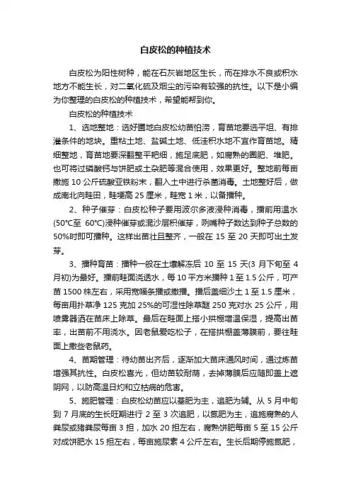 白皮松的种植技术
