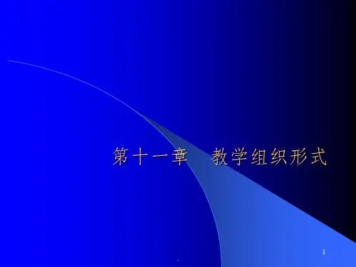 第十一章__教学组织形式