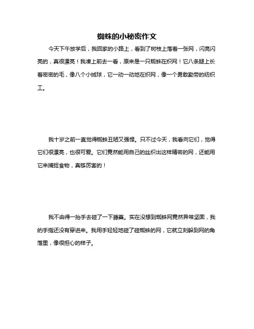 蜘蛛的小秘密作文