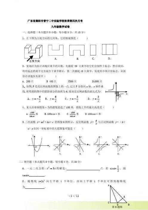广东省揭阳市普宁二中实验学校九年级第四次月考数学试卷