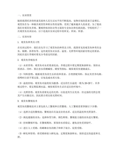 观赏鱼实训报告