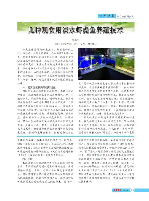 几种观赏用淡水虾虎鱼养殖技术