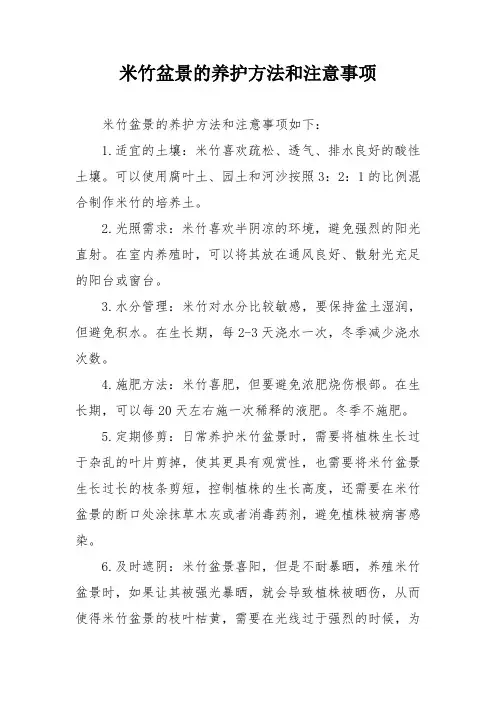米竹盆景的养护方法和注意事项