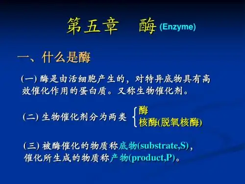 生物化学05.第五章 酶