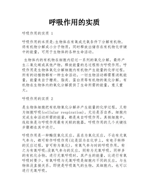 呼吸作用的实质
