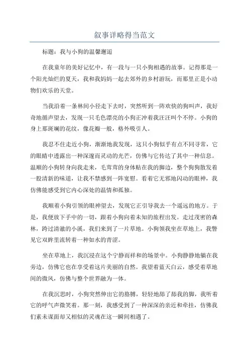 叙事详略得当范文