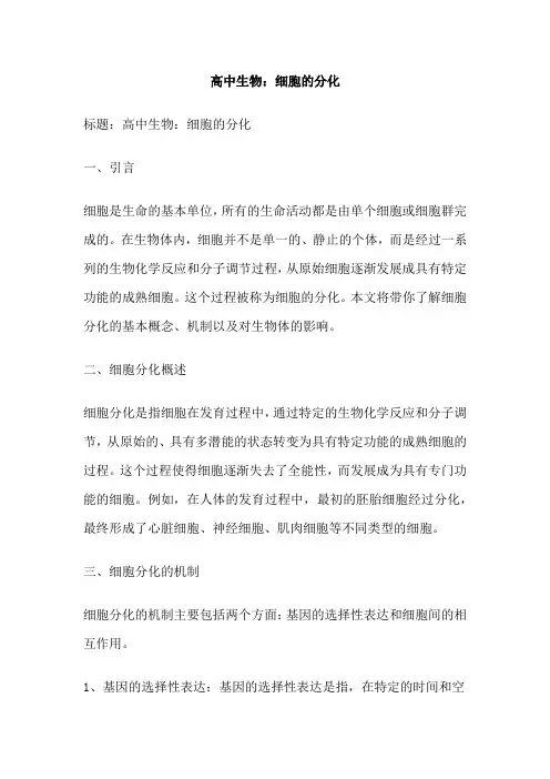 高中生物：细胞的分化
