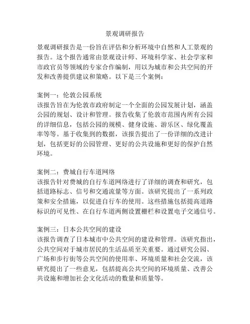 景观调研报告