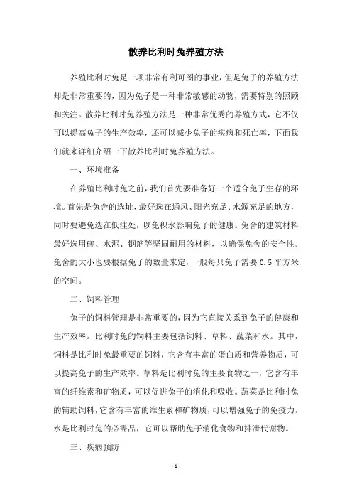 散养比利时兔养殖方法