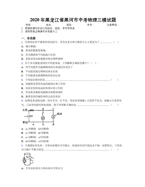 2020年黑龙江省黑河市中考物理三模试题附解析