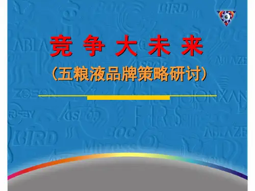 五粮液品牌营销策略研讨PPT课件