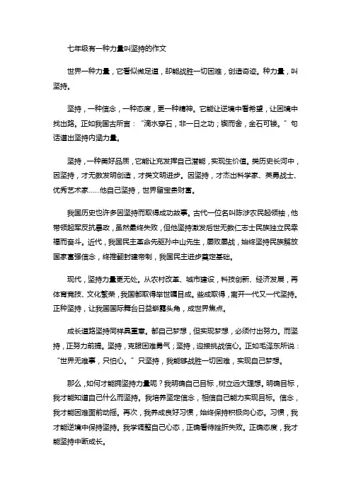 七年级有一种力量叫坚持的作文