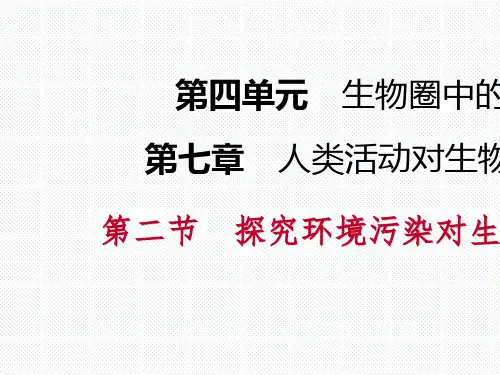 (人教版)探究环境污染对生物的影响 优秀课件2