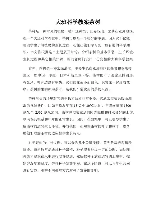 大班科学教案茶树