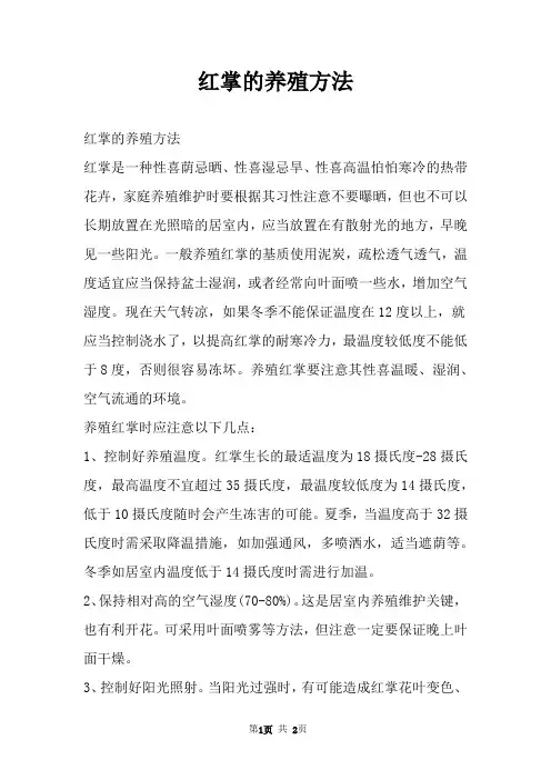 红掌的养殖方法