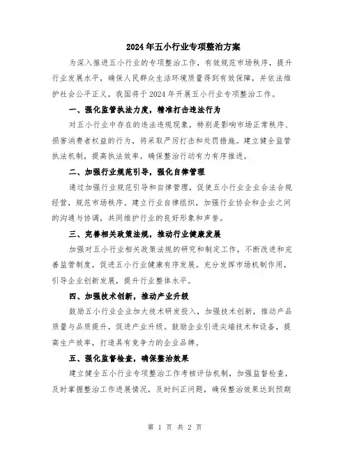 2024年五小行业专项整治方案