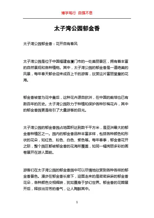 太子湾公园郁金香