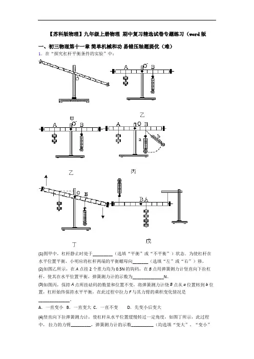 【苏科版物理】九年级上册物理 期中复习精选试卷专题练习(word版