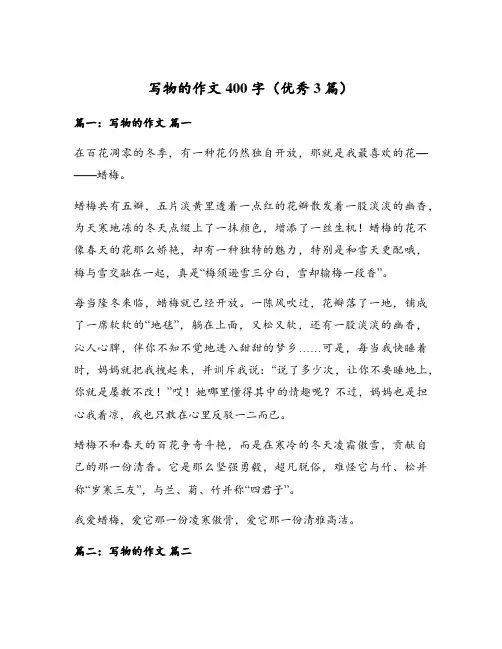 写物的作文400字(优秀3篇)