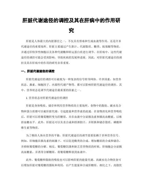 肝脏代谢途径的调控及其在肝病中的作用研究