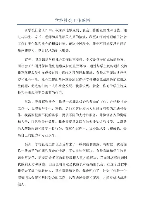 学校社会工作感悟