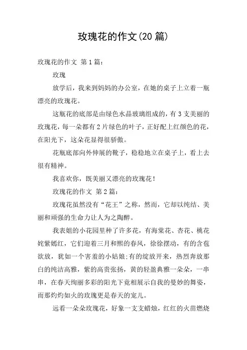 玫瑰花的作文(20篇)