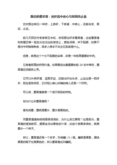路边的墨旱莲：养肝肾中养心乌发固齿止血