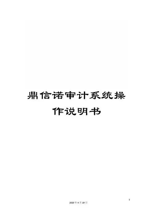 鼎信诺审计系统操作说明书