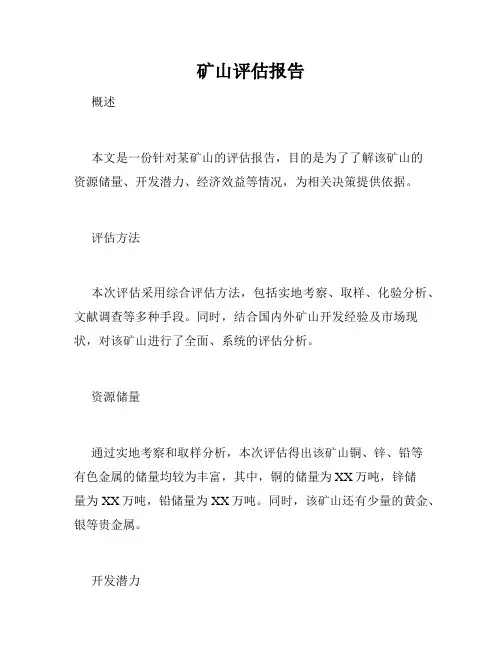 矿山评估报告