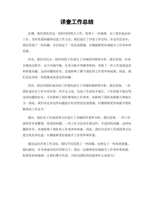 详查工作总结
