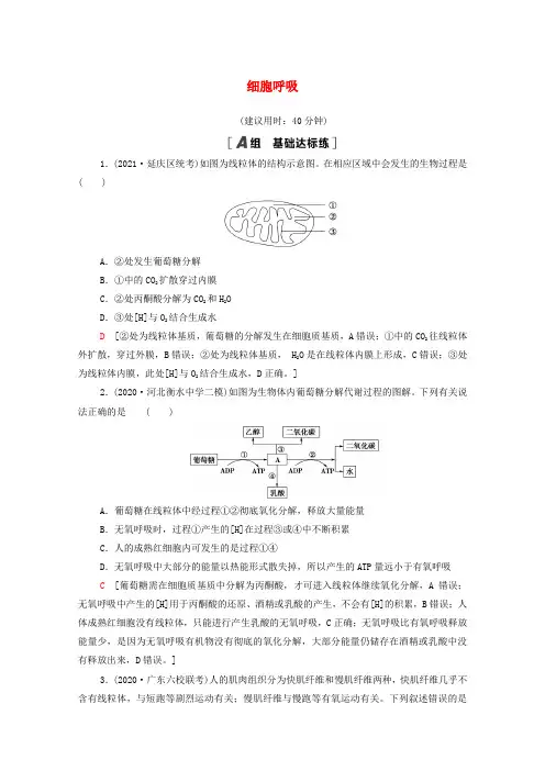 高考生物一轮复习限时集训9细胞呼吸(含解析)