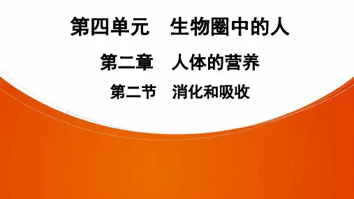 七年级生物下册第4单元  第2章  第2节 消化和吸收