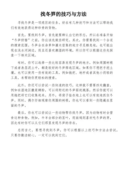 找冬笋的技巧与方法