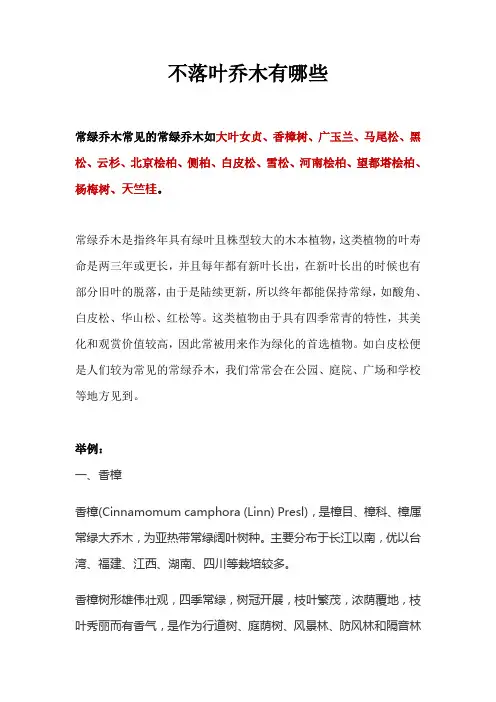 不落叶乔木有哪些