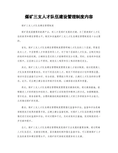 煤矿三支人才队伍建设管理制度内容