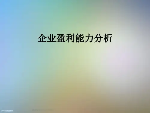 企业盈利能力分析
