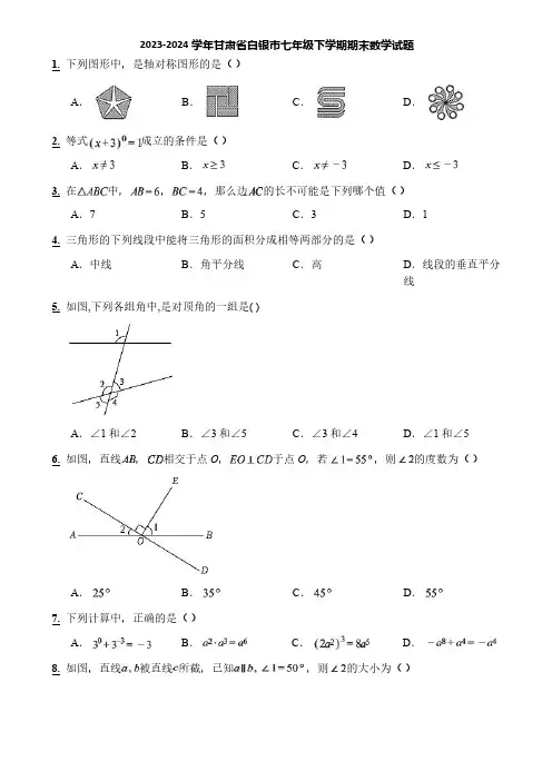 2023-2024学年甘肃省白银市七年级下学期期末数学试题