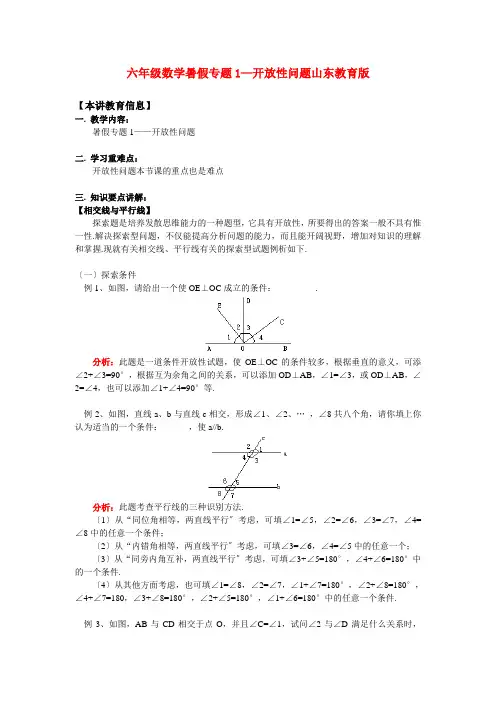 (2021年编)小学数学六年级数学暑假专题1—开放性问题山东教育版